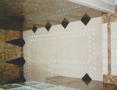 Master Shower Renovation